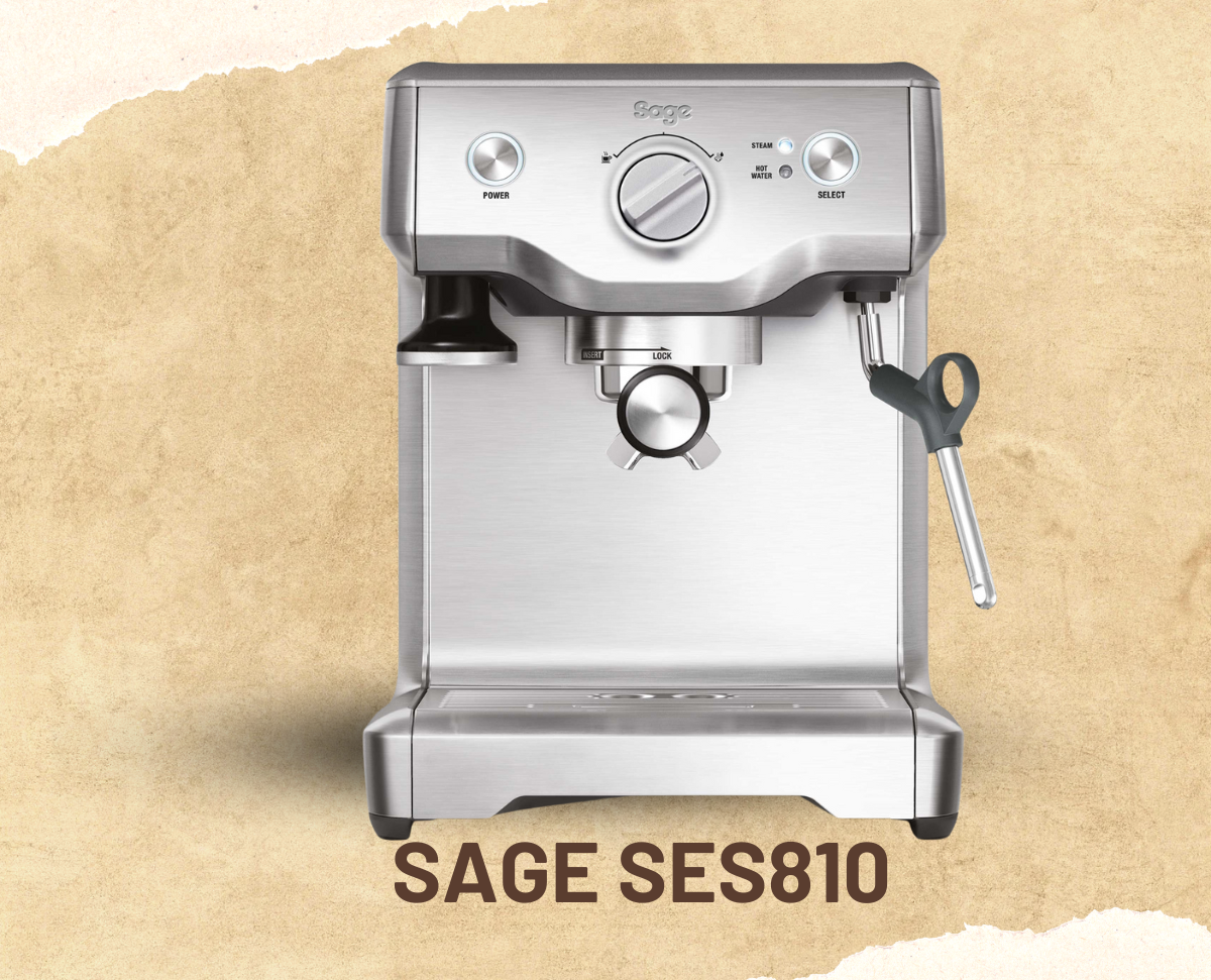 SAGE SES810